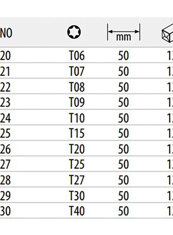 Ceta Form TORX Bits Uçlar CB820 Serisi